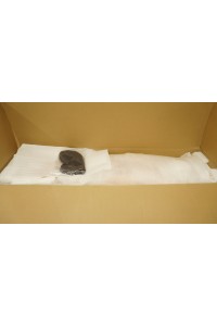 【初心者応援パック 中古美品】EXDOLL(アルテトキオ) #Misakiヘッド150㎝ EVO