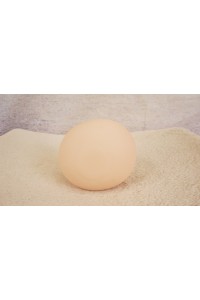 【O国内検品済 新品未使用即納品】 Butterfly Doll #リコAヘッド単品 (80cm推奨)