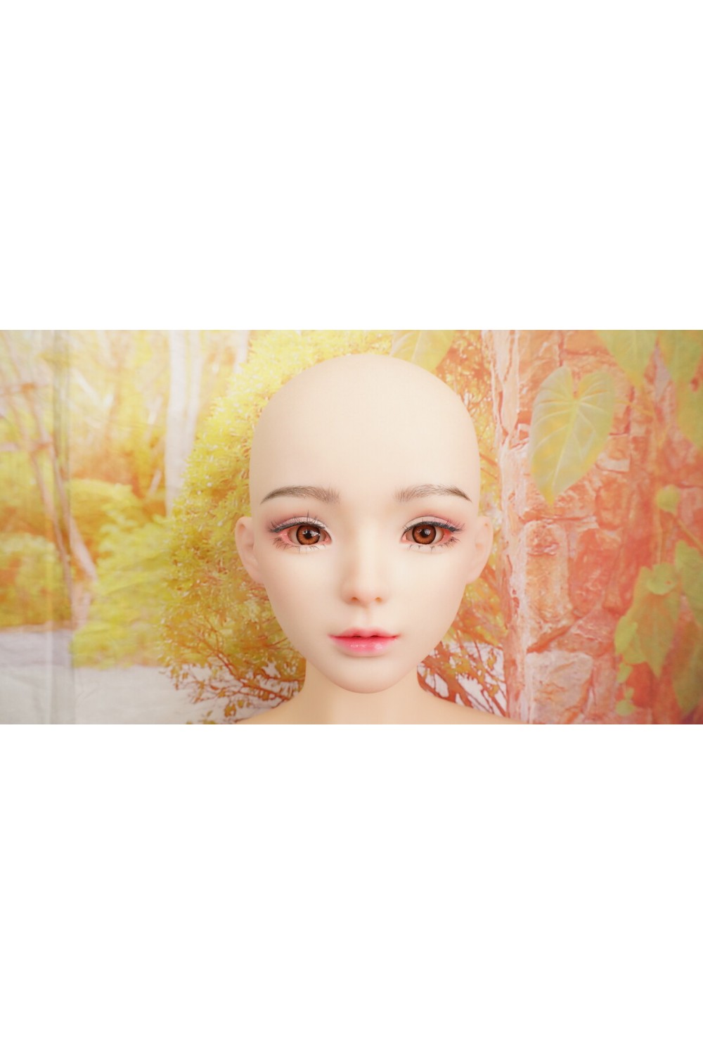【中古】【初心者応援パック 中古美品】GD Sino #G1ヘッド 156cm Cカップ
