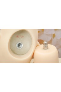 【新古超美品 ホール未使用品】SEDOLL #79ヘッド TPEヘッド単品