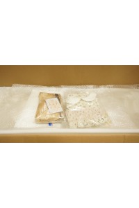 【中古】【初心者応援パック 中古美品】SHEDOLL #珍妮(Jenny)2.0軟質シリコンヘッド(模擬口腔・オーラル機能・顎関節)OP 148cm Dカップ 指関節OP ボディのリアルメイク 軽量化ボディ【フルシリコン製】【オプション多数】