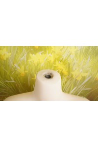 【中古】Aotume Doll 135cm AAカップ 豊潤タイプ TPEボディ単品