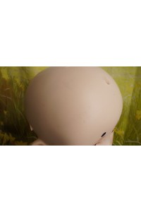 【初心者応援パック 中古美品】GUAVADOLL #DM03ソフトビニール製ヘッド 132cm バスト平