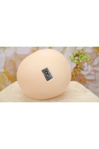 【新品未使用品 ホール未使用品】GD Sino Doll #G6(洛悠) ヘッド BRメイク 音声加工OP 眉毛と睫毛の植毛OP 視点移動 シリコンヘッド単品
