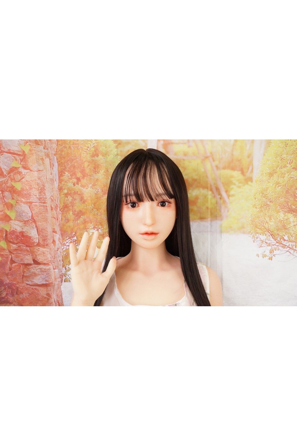 【初心者応援パック 中古】GD Sino #G6 洛悠（luo you) ヘッド 156cm Cカップ