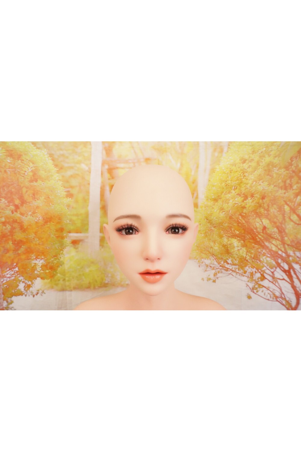 【中古】【O初心者応援パック 新古未使用品ホール未使用品】アート技研(Art-doll) #A6軟質シリコンヘッド（模擬口腔+オーラル機能）あり、顎関節無しOP 148cm Dカップ お尻の柔らか仕上げOP ハードハンドOP 自立加工 ハードフィートOP UR塗装 【M16ジョイント汎用版】【オプション多数】