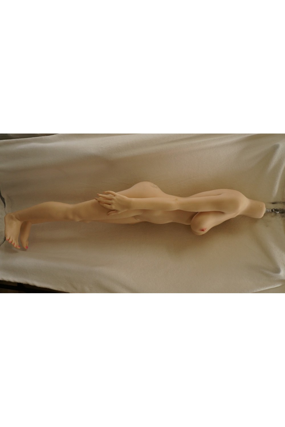 【中古】Sino Doll #35 ヘッド152cm Ｄカップ