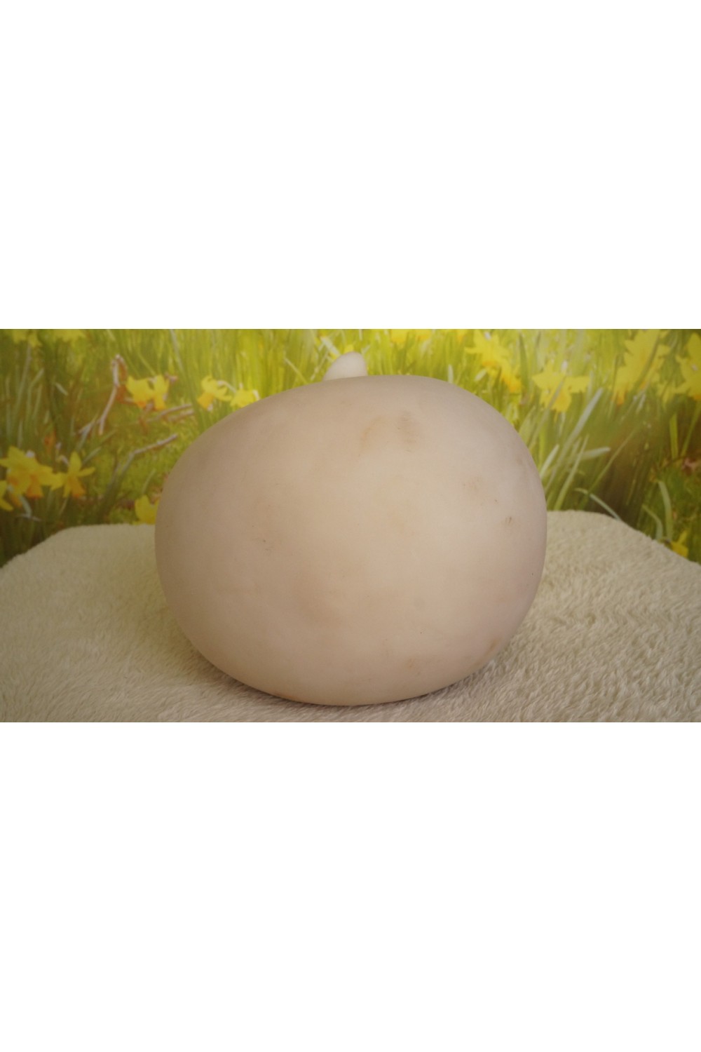 【中古】TPEドール #ヘッド番号不明 (120~140cm推奨)