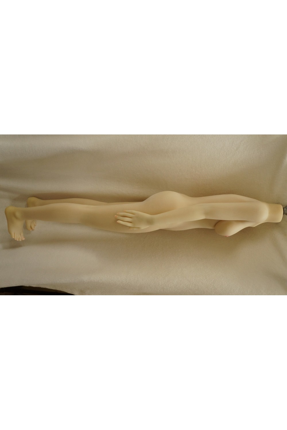 【中古】AXB Doll #A84ヘッド 140cm バスト中