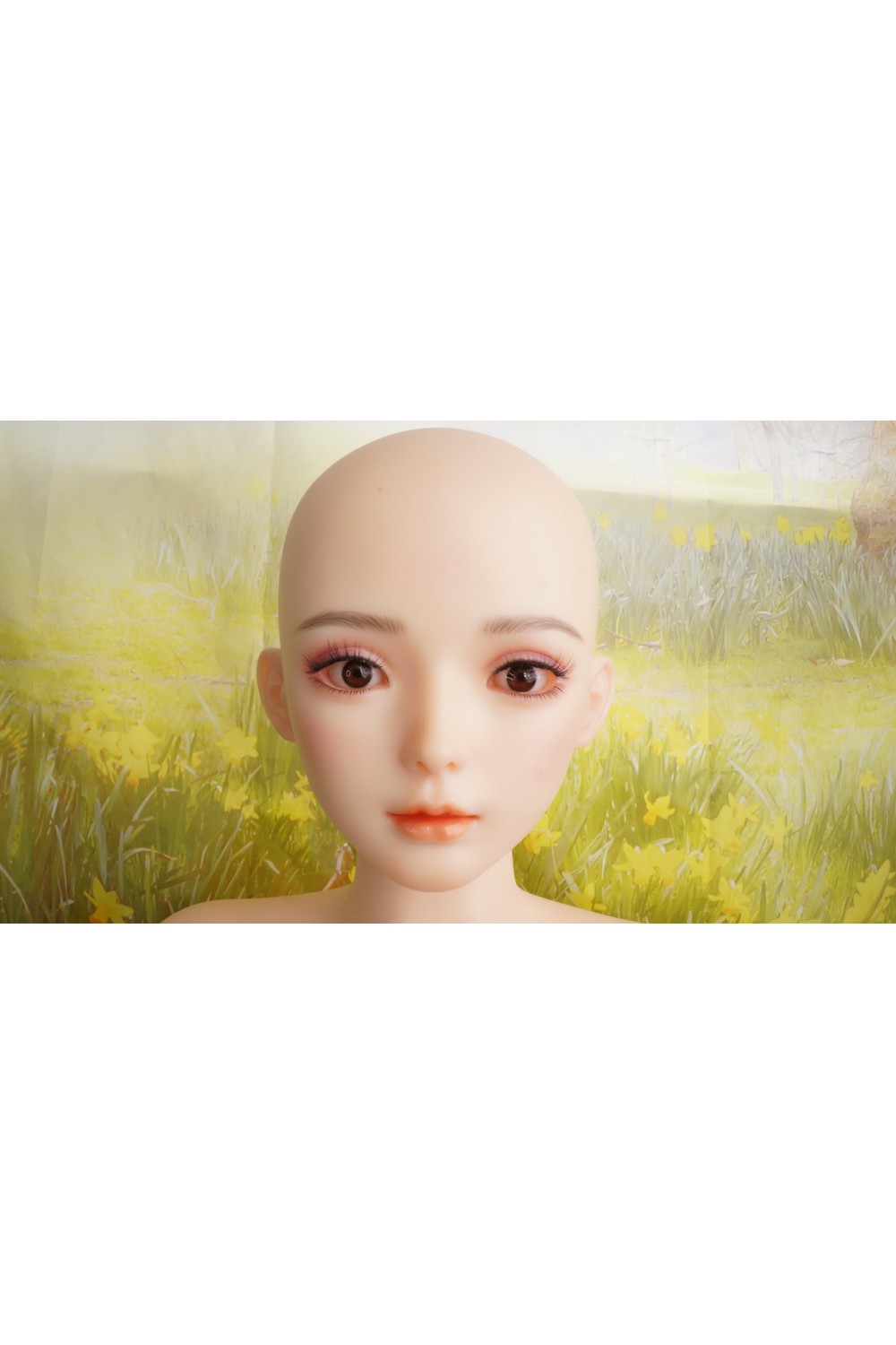【O初心者応援パック 新古超美品ホール未使用品】 GD Sino #G1洛紫 ヘッド156cm Cカップ