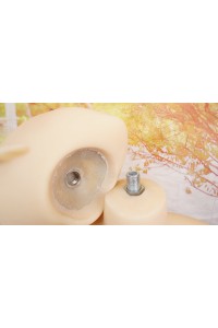 【中古】【初心者応援パック 中古超美品】 Momodoll #007 辉夜ヘッド 138cm Bカップ
