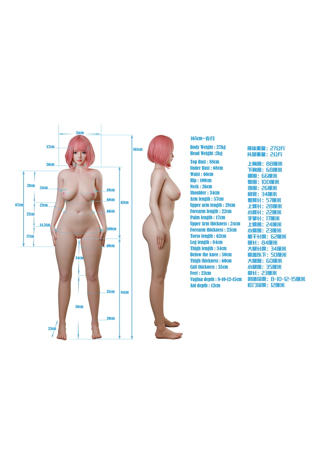【新品】Art-doll 165cm Eカップ 春月A16ヘッド フルシリコン製 リアルドール アート技研 巨乳 巨尻 一本筋膣 ART 0057