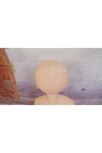 Doll House 168 #Akane 95cm Eカップ 新骨格 肌色 ホワイト