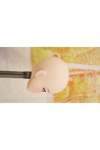 【O国内検品済 新品未使用即納品】 Butterfly Doll #リコAヘッド単品 (80cm推奨)