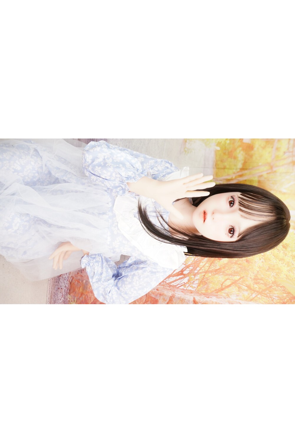 【中古】【初心者応援パック 中古美品】SHEDOLL #8 Luoxiaoyi 軟質シリコンヘッド140cm Aカップ