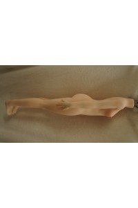 【O新品未使用即納品】Butterfly Doll #嘉娜(カナ) 瞑り目版ヘッド80cm Aカップ
