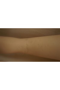 【中古】Siliko Doll 160cm Lカップ シリコンボディ単品