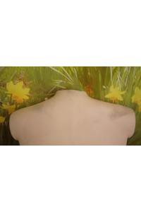 【中古】TPEトルソー 50cm 貧乳