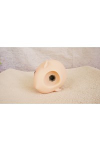 【O国内検品済 新品未使用即納品】 Butterfly Doll #Shiori Aヘッド単品 (80cm推奨)