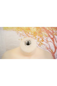 【中古】【中古】Aotume Doll 145cm Bカップ TPEボディ単品