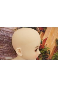 【中古】AXB Doll #84ヘッド130cm バスト大 ゼリー胸 新骨格 肌色 ナチュラル