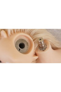 【O初心者応援パック 新古超美品ホール未使用品】DollHouse168 色気美人 #Kasumiヘッド 105cm Fカップ 【フルシリコン製】