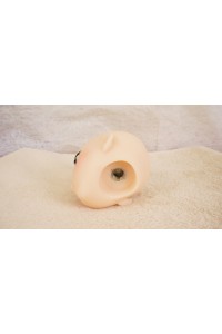 【O国内検品済 新品未使用即納品】 Butterfly Doll #Shiori Cヘッド単品 (80cm推奨)