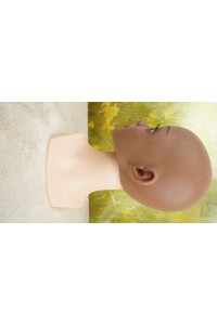 【国内検品済 新品未開封即納品】Sino Doll #S60 凛夭夭(Linyaoyao)ヘッド単品 (70cmトルソー、143cm推奨)