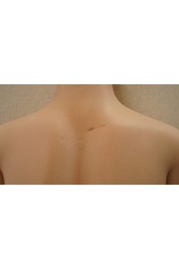 【中古】Real Girl 148cm Cカップ (A工場製) シリコンボディ単品