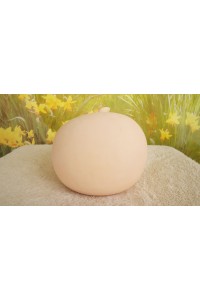 【新古超美品】otona love #ヘッド番号不明(150〜160cm推奨)