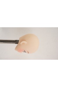 【O国内検品済 新品未使用即納品】 Butterfly Doll #Shiori Cヘッド単品 (80cm推奨)
