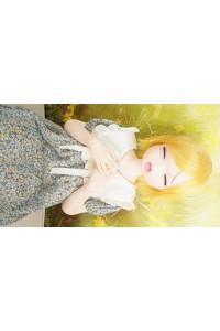 【O初心者応援パック 新品未使用即納品】butterfly Doll #ヒナヘッド 120cm Fカップ
