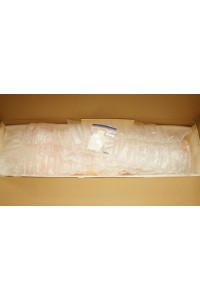 【中古】【中古超美品】BVBN DOLL 170cm 巨乳 ボディ血管メイク ゼリー胸 自立加工あり TPEボディ単品