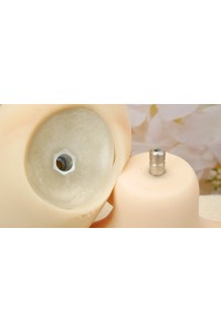 【中古】WM Dolls 欧米仕様 #159ヘッド TPEヘッド単品