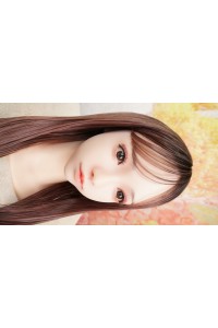【中古】【O中古美品 ホール未使用品】SHEDOLL #洛伊(Luoyi) 軟質ヘッド「模擬口腔・オーラル機能・顎関節」あり OP 単品(152~158cm推奨)