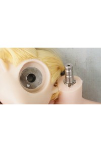 【O初心者応援パック 新品未使用即納品】 DollHouse168 色気美人#Abbyヘッド 95cm Dカップ フルシリコン製