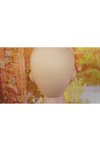 Real Girl #R15 158cm Cカップ 軽量版 専用ジョイント ゼリー胸OP 指関節OP リアルメイク塗装OP 職人メイクOP オプション多数 自立加工 EVO骨格 肌色 ナチュラル