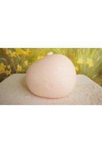 【中古美品】orange in #539軟質シリコンヘッド(158〜168cm推奨)