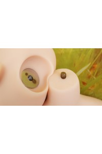 【O国内検品済 新品未使用即納品】 色系（SEXYE）#ヘッド番号不明 68cm Cカップ