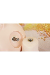 【中古】【O初心者応援パック 新古超美品ホール未使用品】羊角社 #芙芙 B04ソフトビニール製ヘッド 手描きメイク 148cm Cカップ ALM素材ボディOP