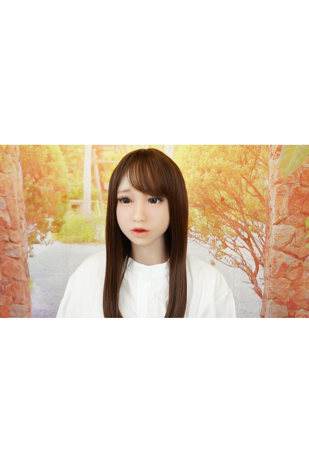 【初心者応援パック 中古】4 WOODS A.I.doll 艶(あでやか)#エルシリコンヘッド(柔らか仕様)159cm 衣装付属 ヘッド柔らか仕様OP 目の周りに載せるグリッターOP スペシャル柔肌仕様OP アンダーヘアー植毛OP 4Woodsオリジナル骨格 肌色 標準(ベーシック)