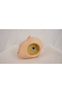 【中古】【O新古超美品 ホール未使用品】WAXDOLL #GE57Z軟性シリコンヘッド単品(165〜172cm推奨)
