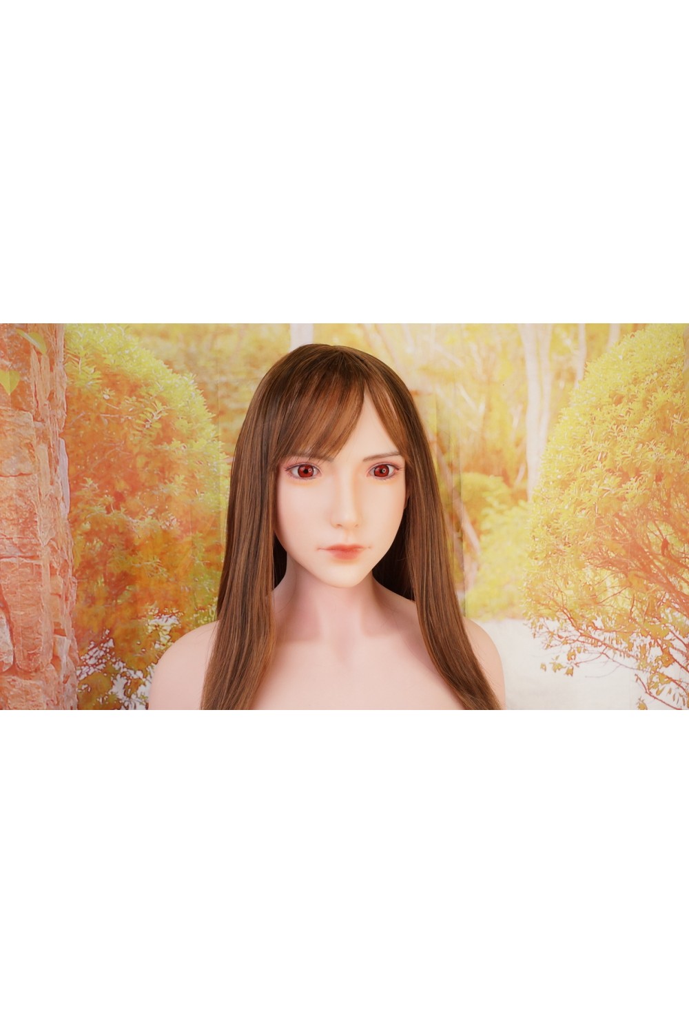 【初心者応援パック 新古超美品】Aicos Doll #TIFA1硬質シリコンヘッド 169cm D-cup