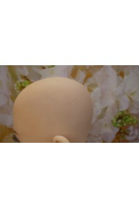 【中古】Sanhui Doll #8シリコンヘッド 口開閉機能OP 視点移動 シリコンヘッド単品