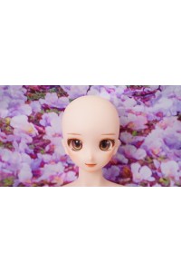 【初心者応援パック 中古超美品】Mini Doll # S7ソフトビニールヘッド 60cm普通乳