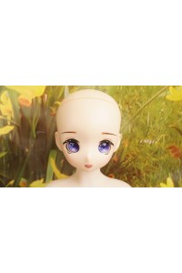 【中古超美品】MiniDoll #S1ヘッド 53cm 普通乳