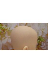 【中古】Sanhui Doll #8シリコンヘッド 口開閉機能OP 視点移動 シリコンヘッド単品
