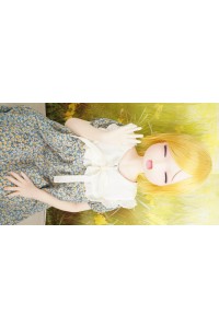 【O初心者応援パック 新品未使用即納品】butterfly Doll #ヒナヘッド 120cm Fカップ