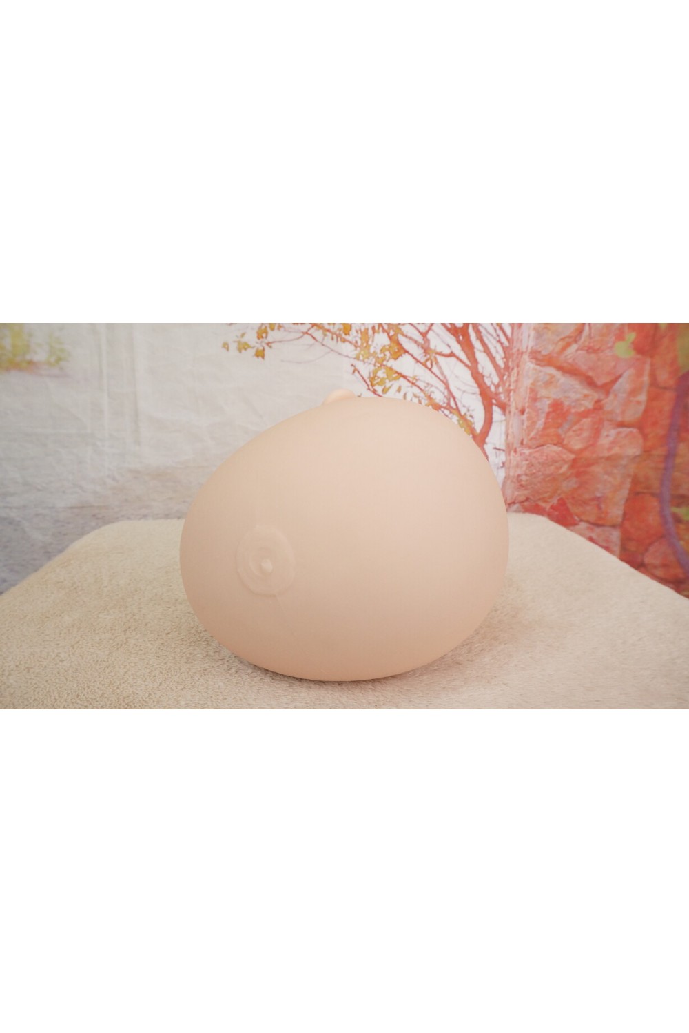 【中古】【O新古超美品 ホール未使用品】SHEDOLL #北栀（Beizhi）(眠り目)軟質ヘッド「模擬口腔・オーラル機能・顎関節」OP 単品(140〜148cm推奨)