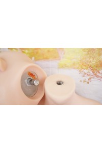 【中古】【初心者応援パック 新古超美品】 catdoll #Ya ソフトシリコンヘッド＋My Loli Waifu 138cm AAカップ 【フルシリコン製】